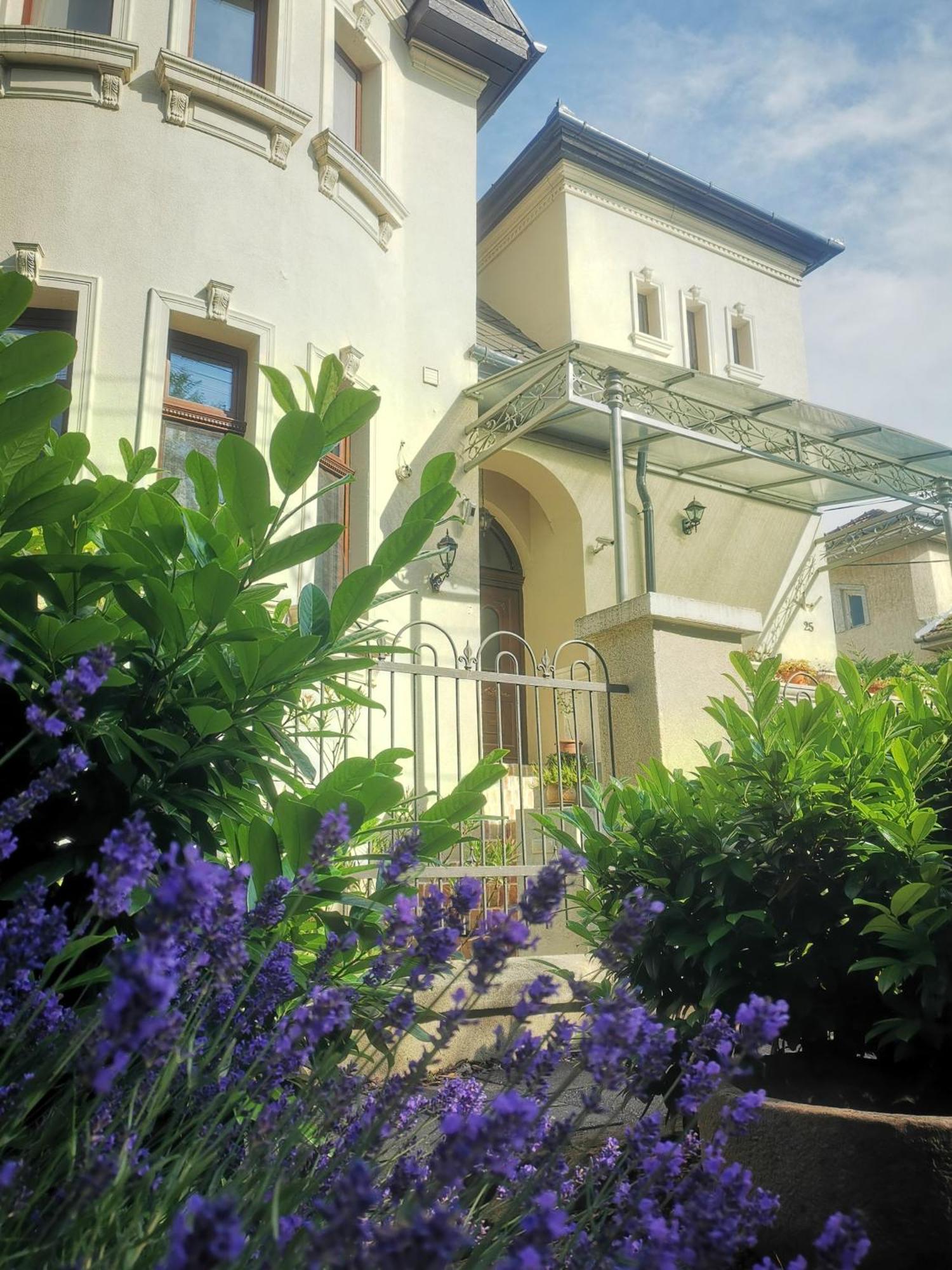 Kuria Apartman Budapest With Free Parking Eksteriør billede